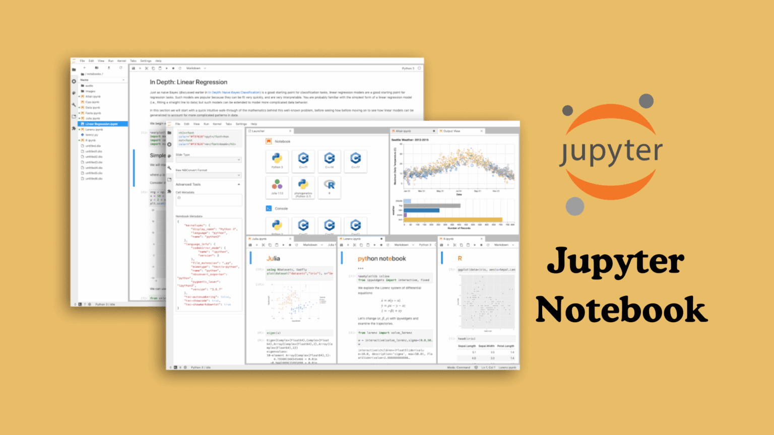 Jupyter Notebook